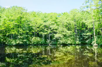 481 Campbell Ridge Pl, Wendell, NC 27591