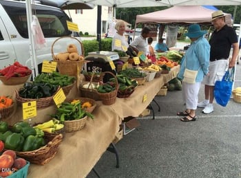 481 White Mulberry Ln #127, Holly Springs, NC 27540