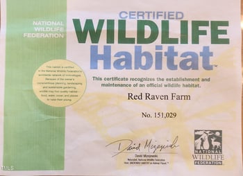 4811 New Sharon Church Rd, Hillsborough, NC 27278