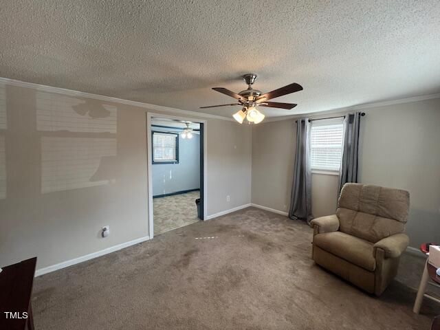 4815 Titan Roberts Rd, Erwin, NC 28339