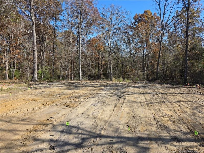 482 Black Duck Ln Lot 75, Lillington, NC 27546