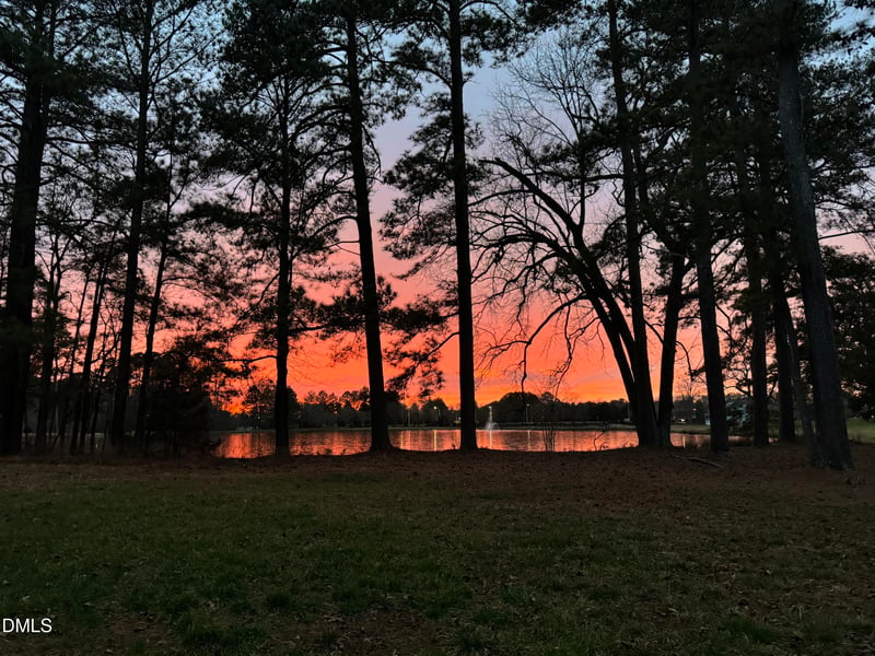 4820 Homeplace Dr, Apex, NC 27539