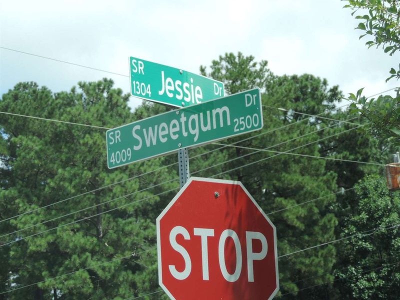 4821 N Jessie Dr N, Apex, NC 27539