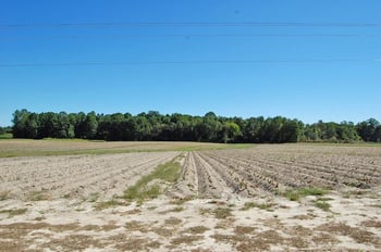 4828 Hopkins Chapel Rd Lot 1, Zebulon, NC 27597