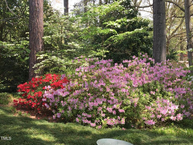 4832 Latimer Rd, Raleigh, NC 27609