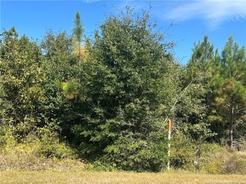 4851 Doc Bennett Rd, Fayetteville, NC 28306
