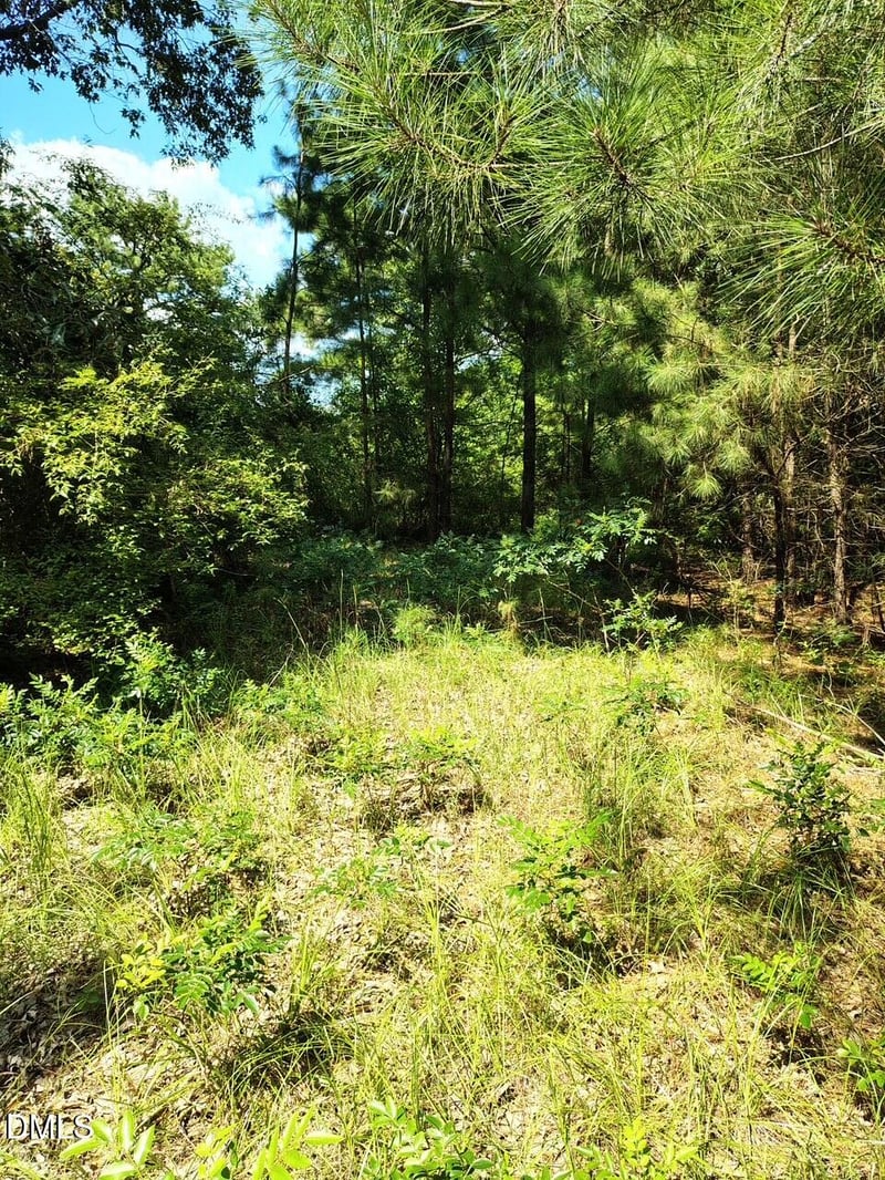 486 Creech Johnson Rd, Zebulon, NC 27597