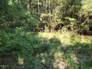 486 Creech Johnson Rd, Zebulon, NC 27597