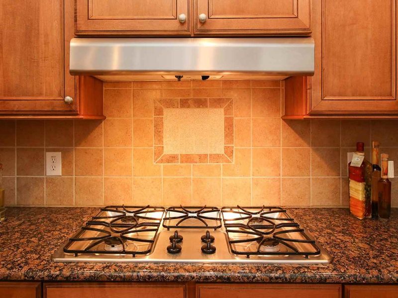487 Oak Bluffs, Pittsboro, NC 27312