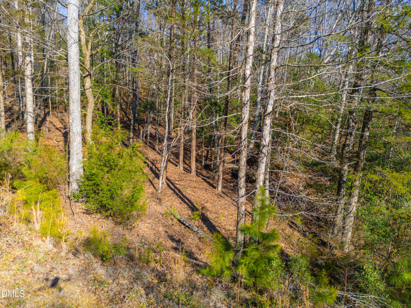 487 Pickett Ln, Pittsboro, NC 27312