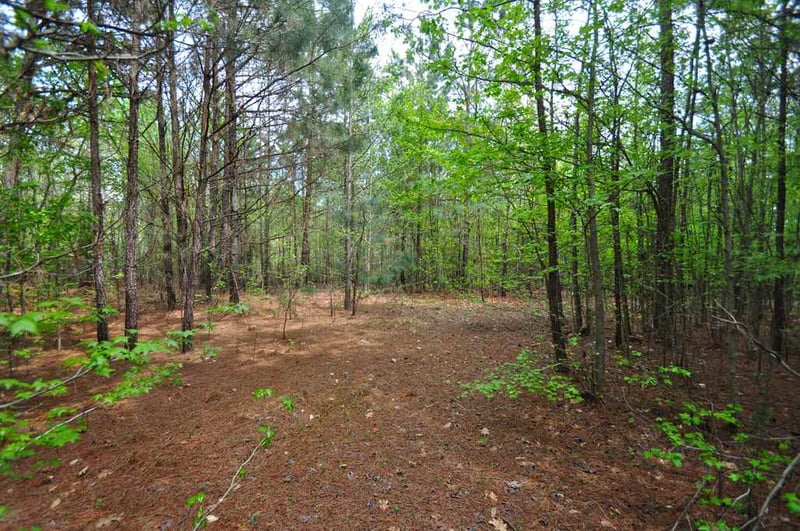489 Alston Rd Lot 1, Apex, NC 27523