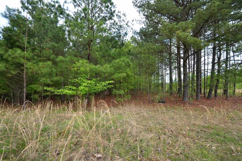 489 Alston Rd Lot 1, Apex, NC 27523
