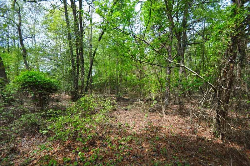 489 Alston Rd Lot 1, Apex, NC 27523