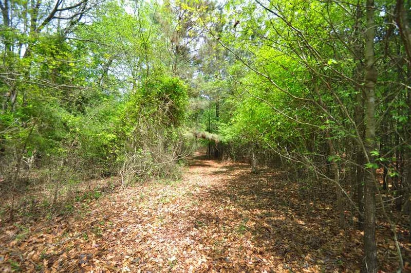 489 Alston Rd Lot 1, Apex, NC 27523