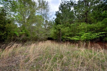 489 Alston Rd Lot 1, Apex, NC 27523