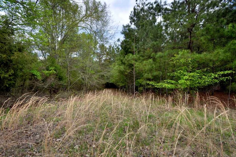 489 Alston Rd Lot 1, Apex, NC 27523
