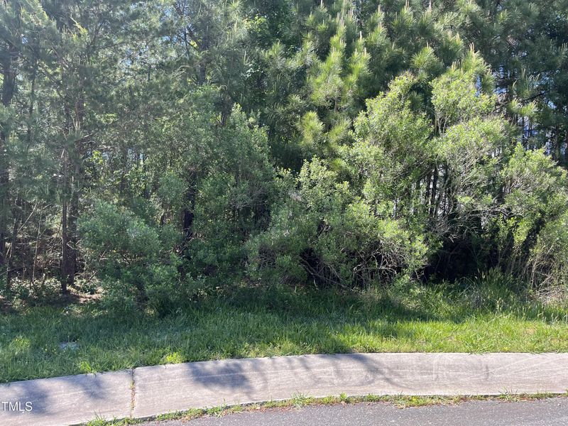 49 Cloudview Ct Lot 155, Pittsboro, NC 27312
