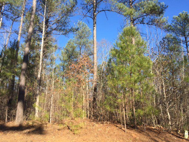 49 Nuthatch Ct Lot 4, Pittsboro, NC 27312