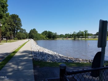 49 Paige Stone Way, Angier, NC 27501