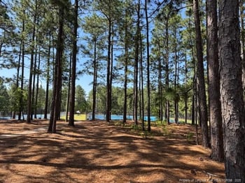 49 Pebble Beach Pt, Sanford, NC 27332