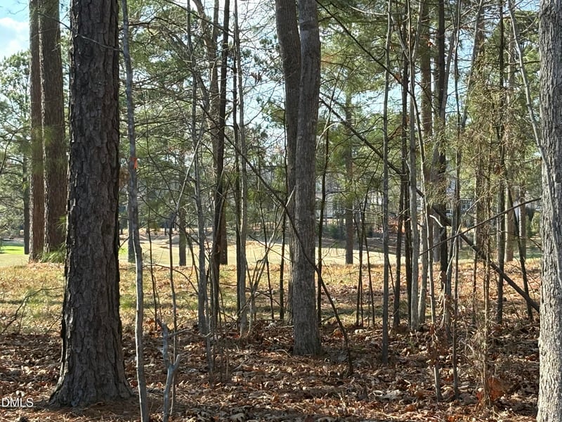 490 Chapel Ridge Dr, Pittsboro, NC 27312