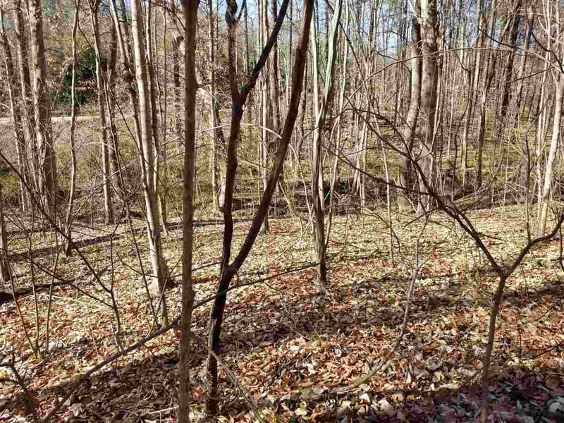 4900 Creedmoor Rd Lot TR2, Raleigh, NC 27587