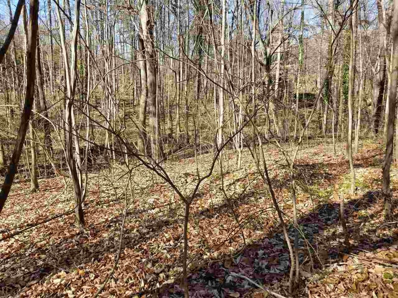 4900 Creedmoor Rd Lot TR2, Raleigh, NC 27587