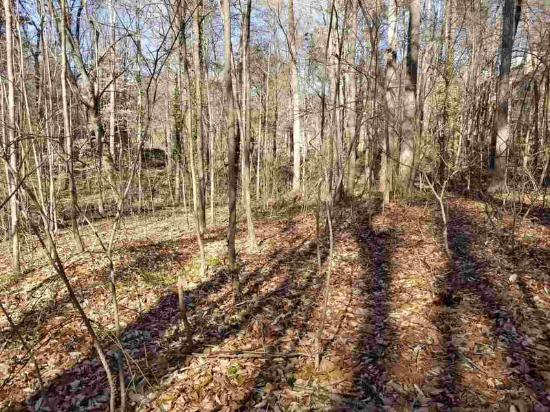 4900 Creedmoor Rd Lot TR2, Raleigh, NC 27587