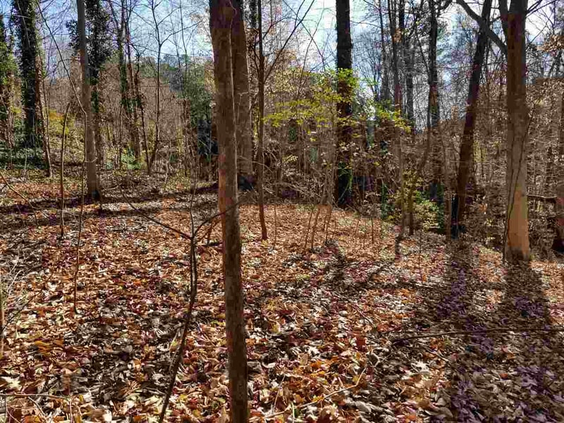 4900 Creedmoor Rd Lot TR2, Raleigh, NC 27587