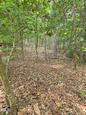 4901 Bluebird House Ln Lot 4901 4909, Raleigh, NC 27616