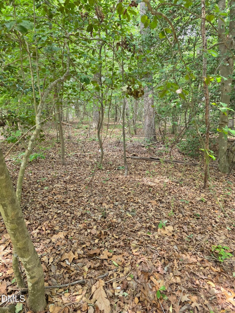 4901 Bluebird House Ln Lot 4901 4909, Raleigh, NC 27616
