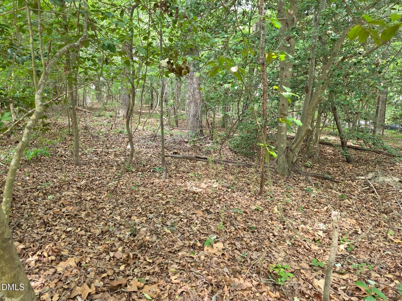 4901 Bluebird House Ln Lot 4901 4909, Raleigh, NC 27616