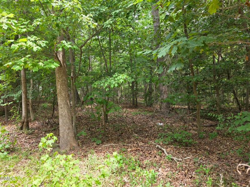 4901 Bluebird House Ln Lot 4901 4909, Raleigh, NC 27616