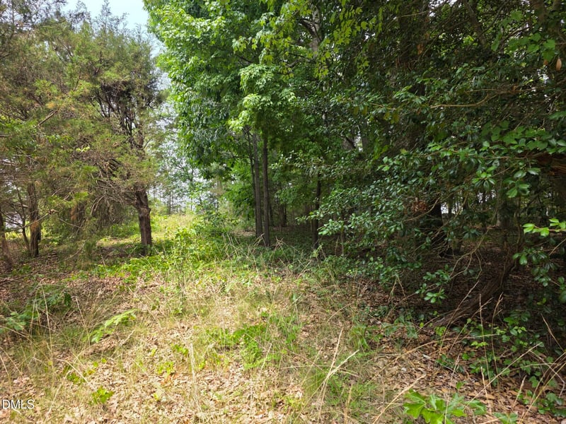 4901 Bluebird House Ln Lot 4901 4909, Raleigh, NC 27616