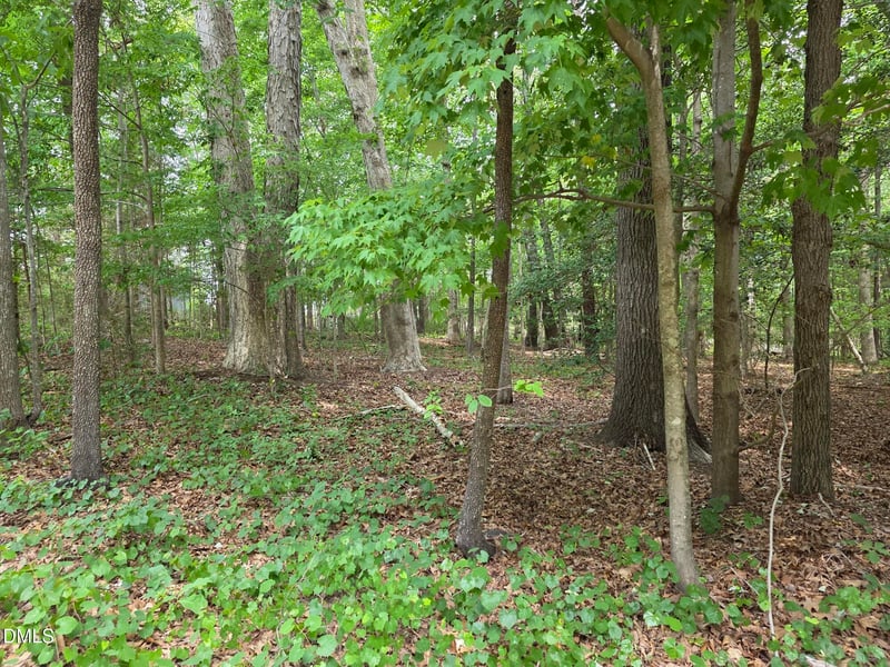 4901 Bluebird House Ln Lot 4901 4909, Raleigh, NC 27616