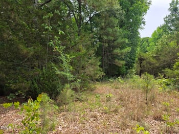 4901 Bluebird House Ln Lot 4901 4909, Raleigh, NC 27616