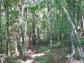 4921 Nc 42 , Raleigh, NC 27603