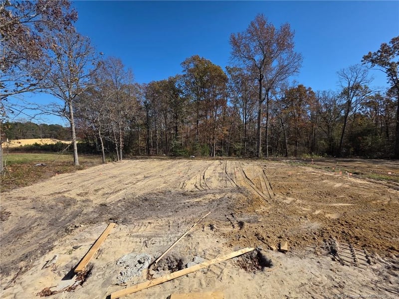 496 Black Duck Ln Lot 74, Lillington, NC 27546