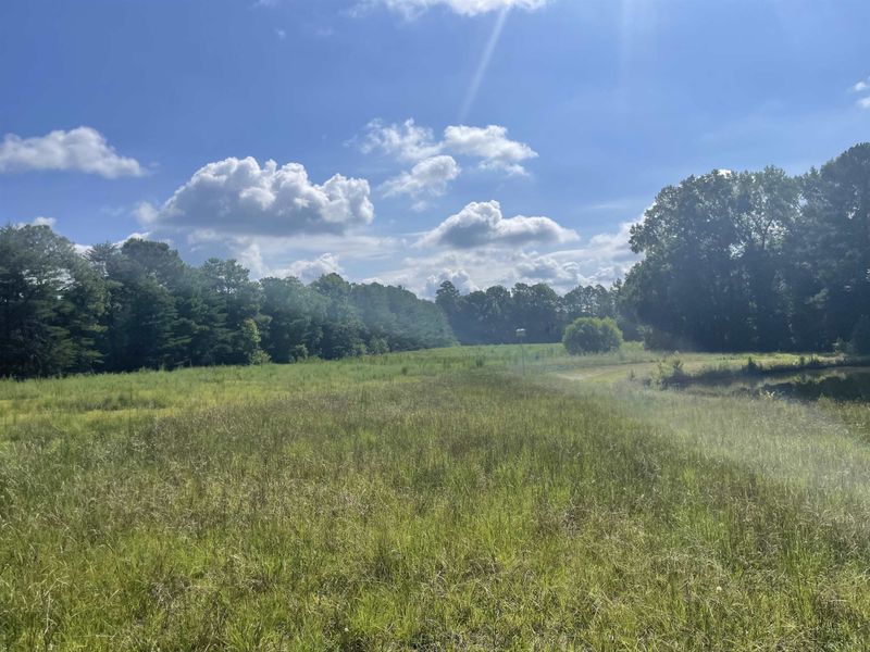 4978 Zacks Mill Rd, Angier, NC 27501