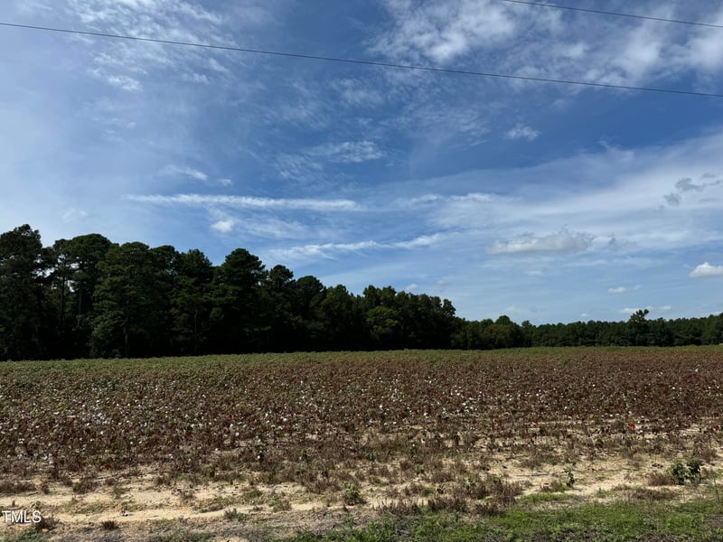 5 Acres Mitchell Rd, Lillington, NC 27546