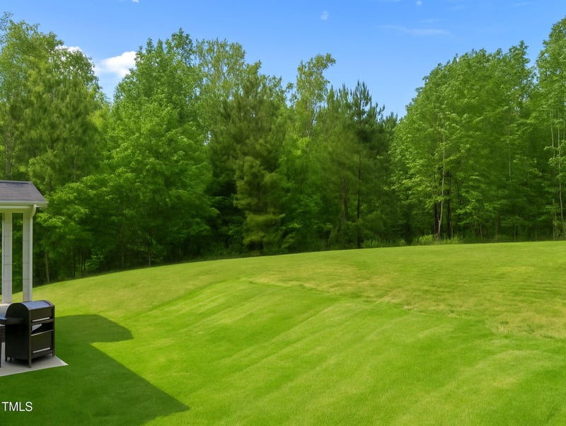 5 Cinnamon Teal Way, Youngsville, NC 27596