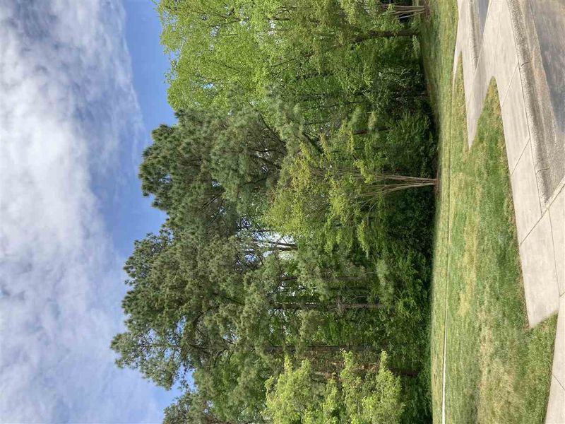 5 Hartford Ct, Durham, NC 27707