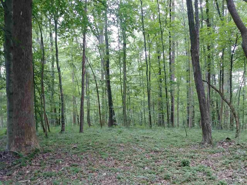 5 Spring Meadows Rd Lot 5, Hillsborough, NC 27278