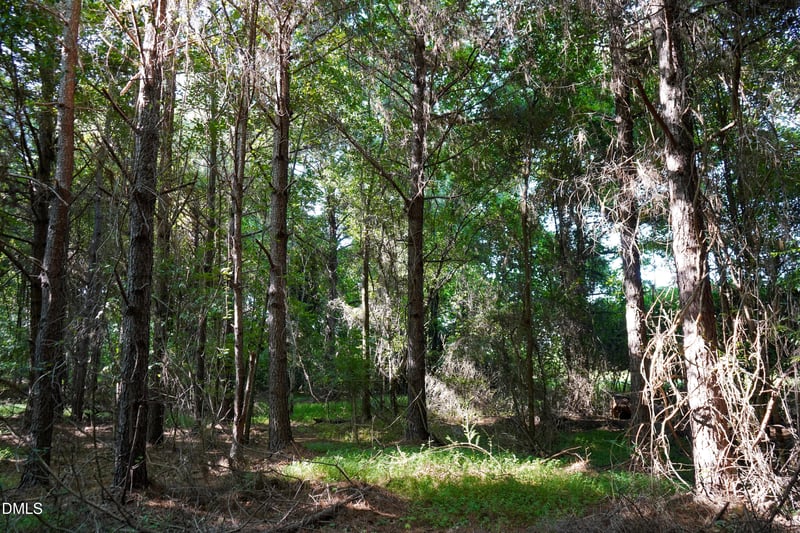 5.25 Acres Timberlake Rd Lot 5.25 Acres, Louisburg, NC 27549