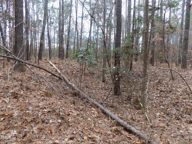 50 Green Pastures Rd, Louisburg, NC 27549
