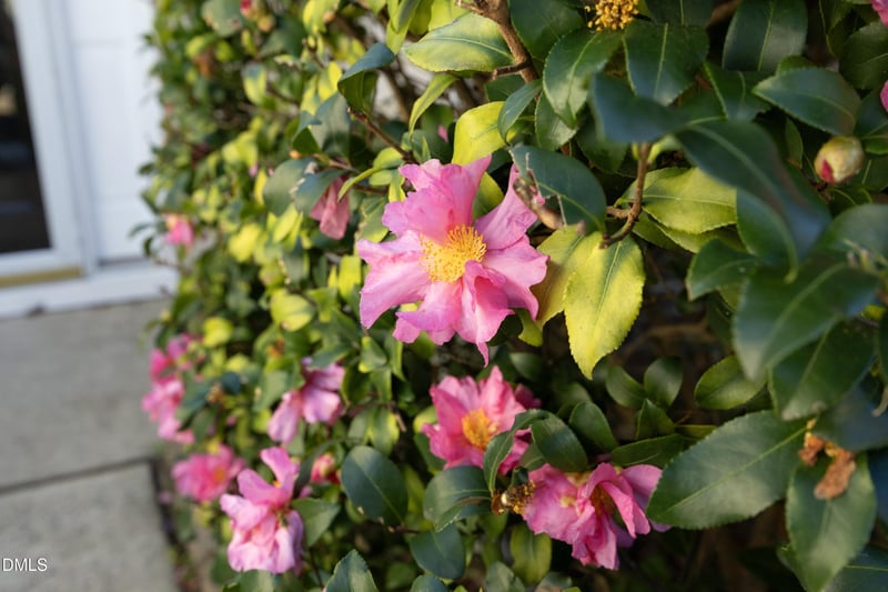 500 Dogwood Creek Pl, Fuquay Varina, NC 27526