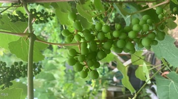 500 Gulf St, Sanford, NC 27330