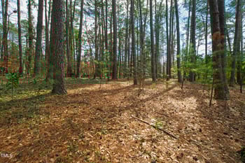 5008 Hermitage Dr, Raleigh, NC 27612