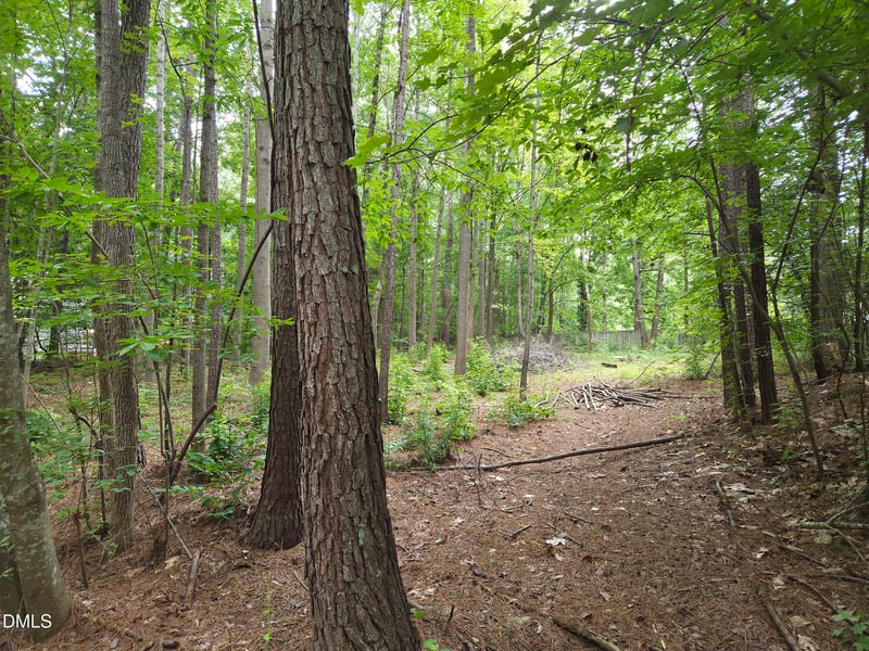 5009 Holly Brook Dr Lot 47a, Apex, NC 27539