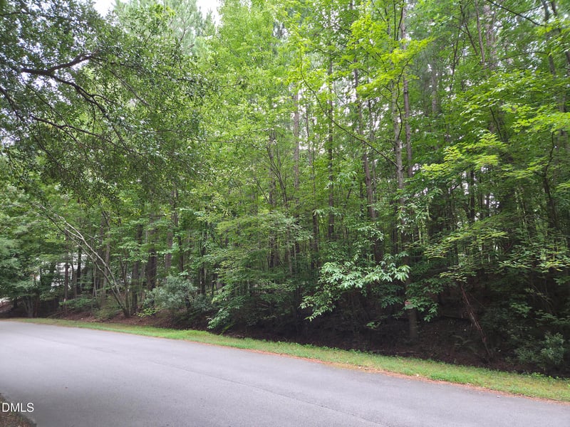 5009 Holly Brook Dr Lot 47a, Apex, NC 27539
